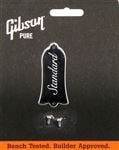 Gibson Truss Rod Cover for Les Paul Standard Body View